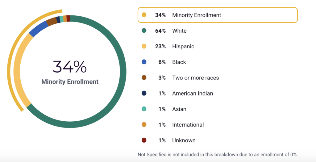 Ethnic Diversity
